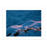 SNOWLIGHT POST CARDS