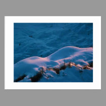 SNOWLIGHT postcards