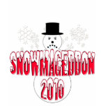 Snowmageddon 2010 t-shirts