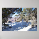 Snowman on the South Rim Print or Poster