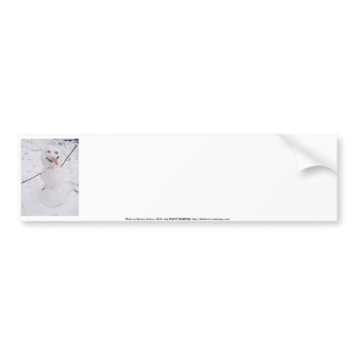 snowman pizazz! bumpersticker