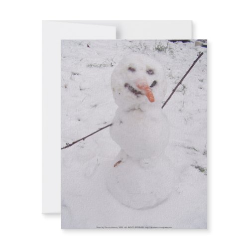 snowman pizazz! invitation