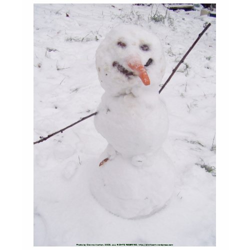 snowman pizazz! shirt