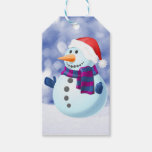 Snowman Winter Merry Christmas Snow Gift Tags