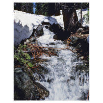 Snowmelt - Yosemite National Park Flyer