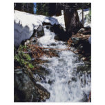 Snowmelt - Yosemite National Park flyers