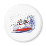 sNoWmEn SuRfErS magnets
