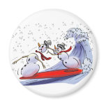 sNoWmEn SuRfErS magnets