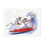 sNoWmEn SuRfErS postcards