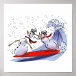 sNoWmEn SuRfErS posters
