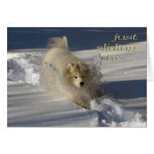 Snowplow Birthday Card
