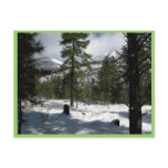Snows In Flagstaff At Arizona And On Mt. Elden Postcard