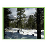 Snows In Flagstaff At Arizona And On Mt. Elden Postcard