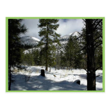 Snows In Flagstaff At Arizona And On Mt. Elden Postcard