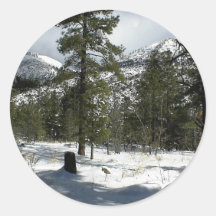 Snows In Flagstaff At Arizona And On Mt. Elden Round Sticker