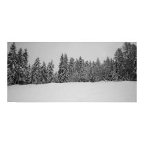 SnowScape posters
