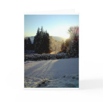 Snowscape with sun lit tree card