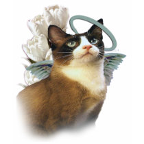 Snowshoe  Angel t-shirts