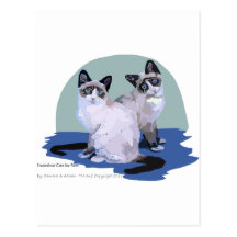 Snowshoe Cats Post Card