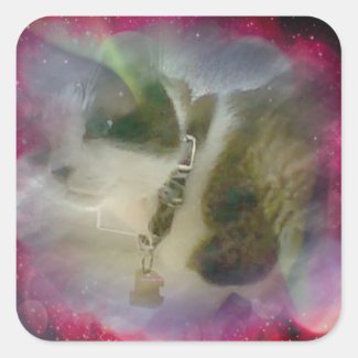snowshoe celestial kitty square sticker