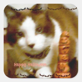 snowshoe Happy Halloween Kitty Square Sticker