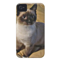 Snowshoe Kitten Gifts Case-Mate iPhone 4 Cases