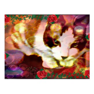 snowshoe kitty in the red roses postcard