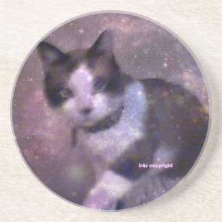 snowshoe kitty in the stars beverage coaster