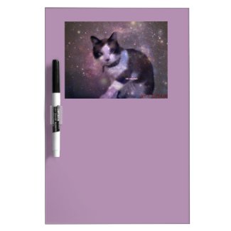 snowshoe kitty in the stars Dry-Erase board