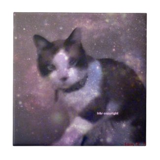 snowshoe kitty in the stars small square tile