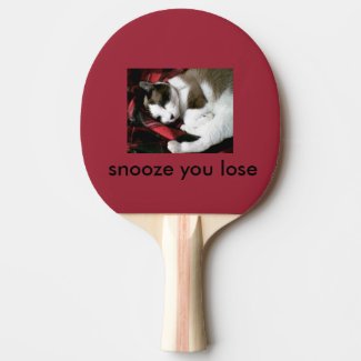 snowshoe kitty snoozing and dreaming ping pong paddle