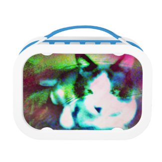 snowshoe mixed media kitty yubo lunch box