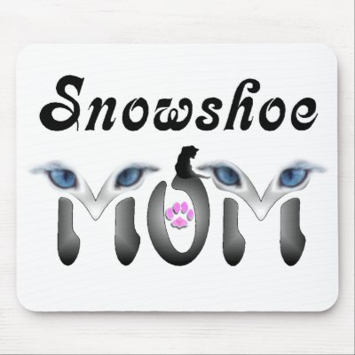 Snowshoe Mom Gifts Mouse Pad by CatMeowz