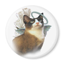 Snowshoe Perfect Angel magnets by friskybiz Snowshoe Perfect Angel magnets