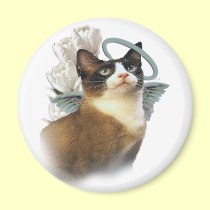 Snowshoe Perfect Angel magnets