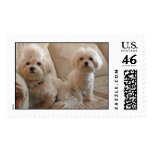SnowSoph320062 postage