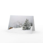 Snowstorm at the Crags cards