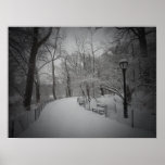 Snowstorm, Central Park, New York City, Medium Posters