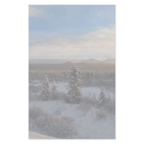 Snowy Afternoon Custom Stationery