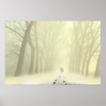 Snowy Alley Print