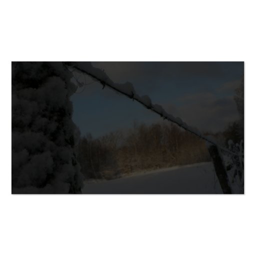 Snowy Barbwire Fence Business Cards (back side)