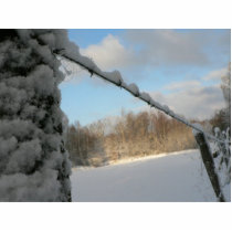 Snowy Barbwire Fence photo sculptures