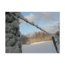 Snowy Barbwire Fence Post Card