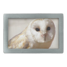 Snowy Barn Owl  Belt Buckle
