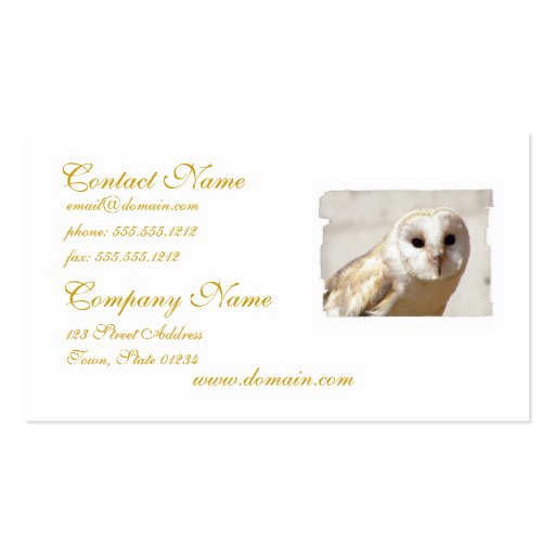 Snowy Barn Owl  Business Cards (front side)