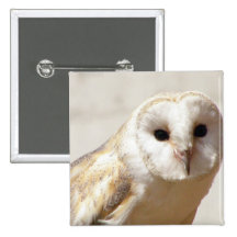 Snowy Barn Owl  Button