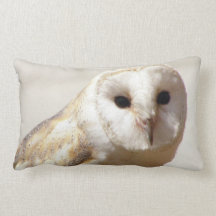 Snowy Barn Owl  Pillow