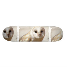 Snowy Barn Owl Skateboard
