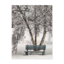 Snowy Bench Postcard