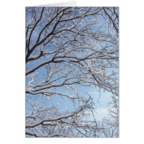 snowy branches cards by cleverocity snowy branches cards